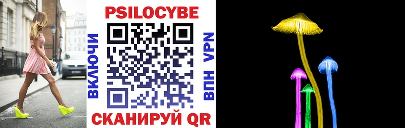 Купить где  Удачный  Галлюциногенные грибы Cubensis 